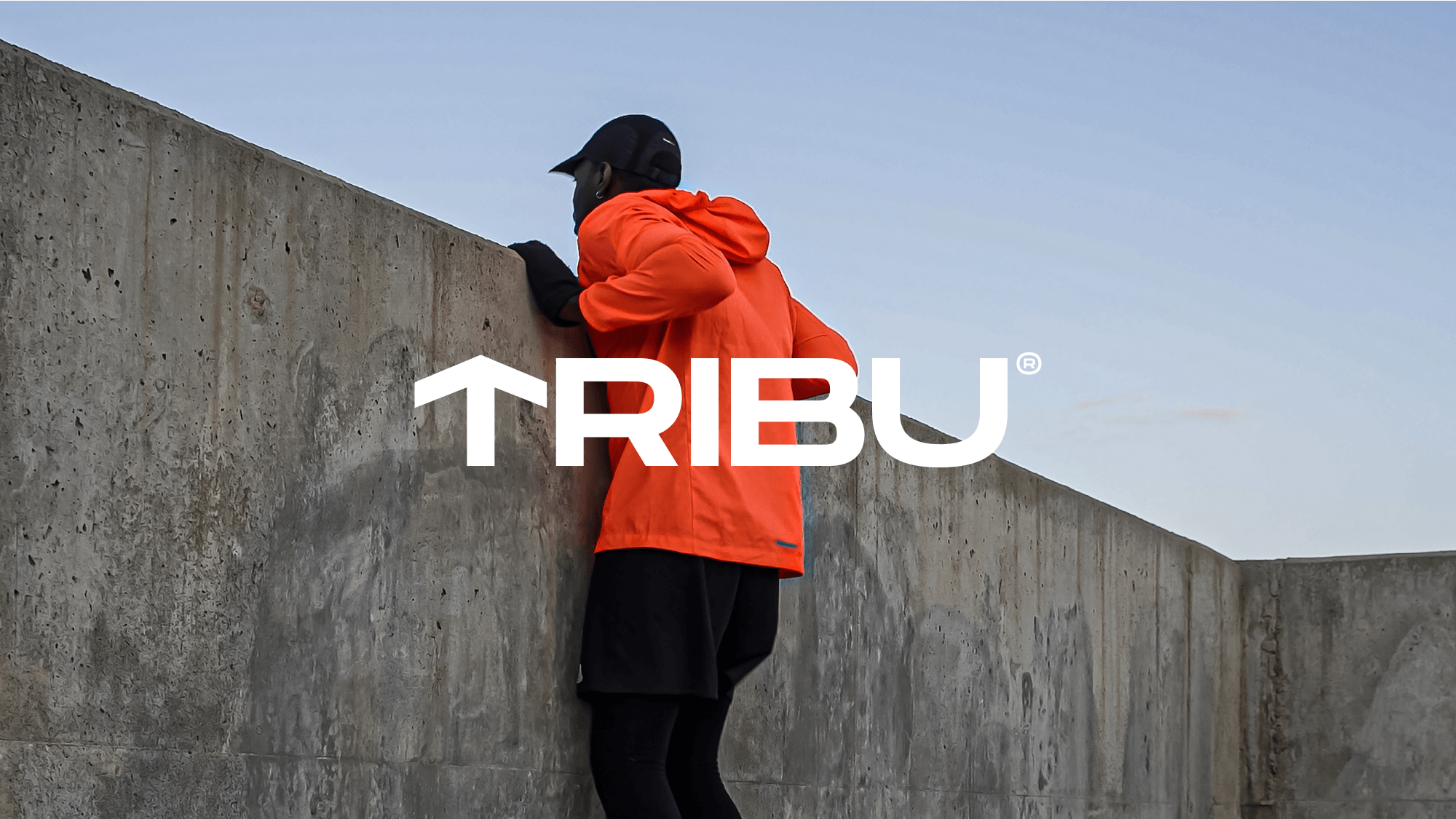 Tribu